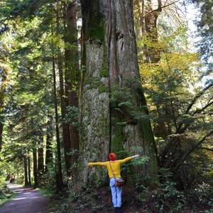 Meet your Posher, Emily victoria